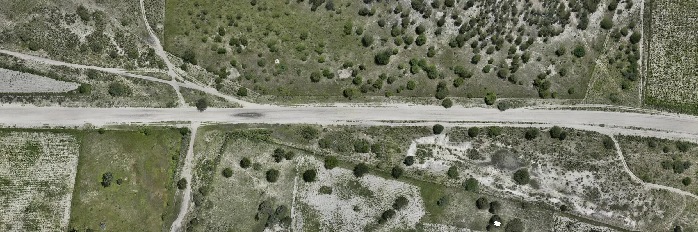 Orthophoto of a gravel road and verge in Namibian savanna, stitched from zoom-20 survey tiles at 0.142 m per pixel.